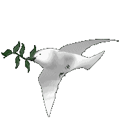 doveofpeace.gif